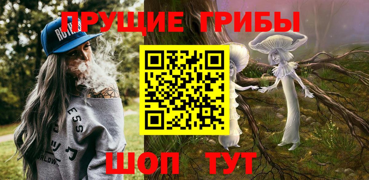 Псилоцибиновые грибы Psilocybine cubensis Каменск-Уральский